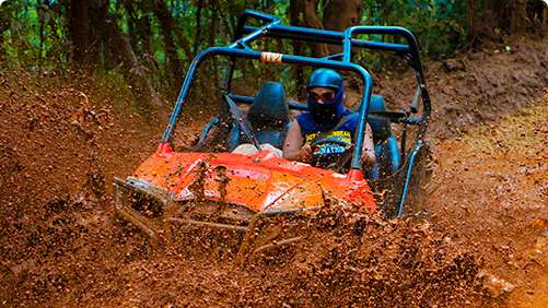 How Yaaman Adventure Park Redefines the Meaning of Fun
